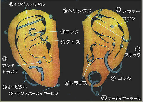 耳ピアスの部位